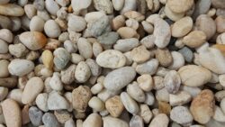 Beach Pebble 3/4"