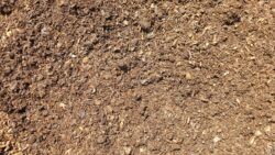 Nutri Peat Nutri Peat