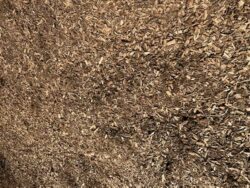 Landscapers Double Ground Mulch