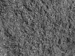 Black Mulch
