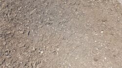 Compost Compost