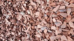 Red Slate Red Slate
